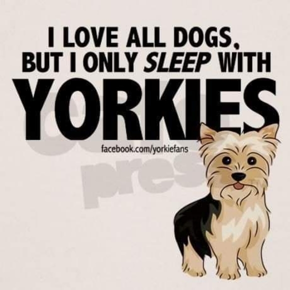 Meet your Posher, Alicia - Picture 10 of 16